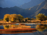 B8：拉薩、珠穆朗瑪峰、古格王朝、神山圣湖20日之旅