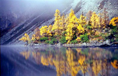 川藏南線成都、稻城、然烏、大峽谷、拉薩12日游