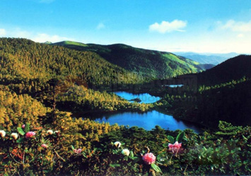 D5：成都、海螺溝、瀘沽湖、麗江、大理11日豪華游