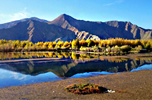 川藏南線：成都、稻城、然烏、大峽谷、拉薩11日游