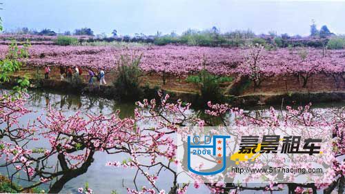 成都租車(chē)網(wǎng)