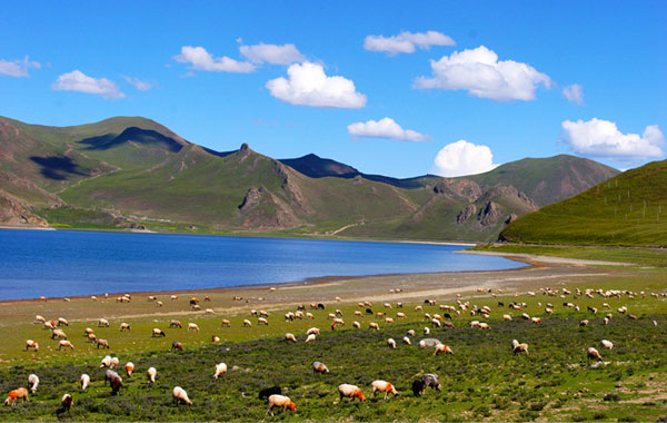 拉薩、亞東、珠峰、日喀則、納木錯9日游