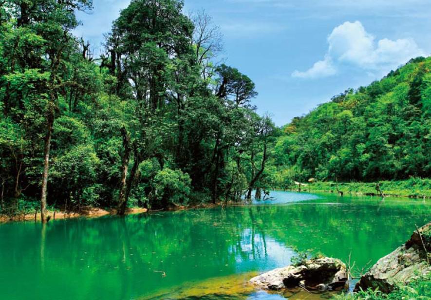 成都租車網(wǎng)薦周末碧峰峽、龍蒼溝二日游