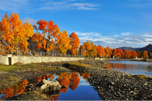成都租車(chē)自駕游賞秋線(xiàn)路推薦