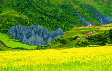 八美 盤點五一假期旅游好去處