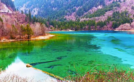 九寨溝 五一小長假自駕性價比高的地方