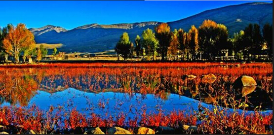 成都租車(chē)自駕去稻城亞丁 成都租車(chē)自駕去稻城亞丁