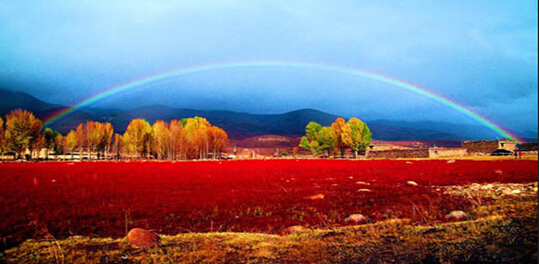 自駕游稻城亞丁 成都租車(chē)自駕去稻城亞丁