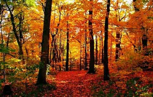 秋游正當(dāng)時(shí)！成都租車旅游選哪一條？