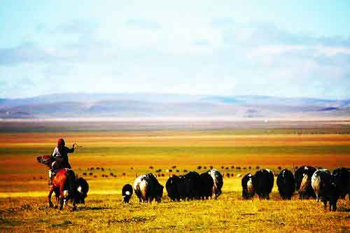 秋游正當(dāng)時(shí)！成都租車旅游選哪一條？