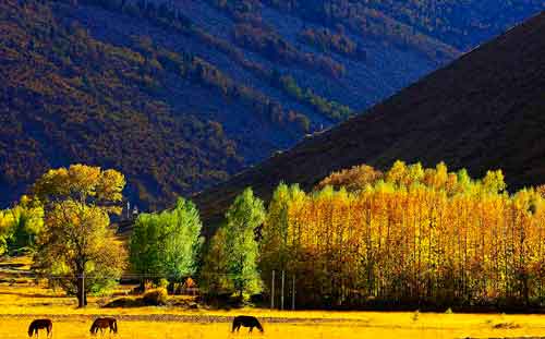 秋游正當(dāng)時(shí)！成都租車旅游選哪一條？